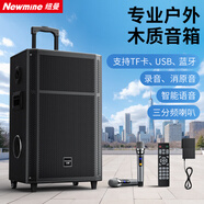 紐曼（Newmine）N528 15寸廣場(chǎng)舞藍牙音箱大功率戶(hù)外移動(dòng)便攜式拉桿家用K歌大音量無(wú)線(xiàn)音響超長(cháng)續航雙麥 15喇叭