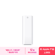 Apple/蘋(píng)果 USB-C 轉(zhuǎn) Apple?Pencil 轉(zhuǎn)換器 觸控筆尖 手寫(xiě)筆尖 蘋(píng)果筆尖 適用于iPad (第十代) 轉(zhuǎn)接頭
