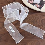 2025新款小眾設計透視絲巾高級感歐根紗飄帶發(fā)帶領(lǐng)巾百搭裝飾 26540A白色款 150cm