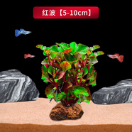文枝火山石水草植物真草魚缸水草造景懶人新手養(yǎng)魚套餐后景坨草蜈蚣草 紅波火山石