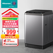 海信（Hisense）波輪洗衣機(jī)全自動(dòng) 12公斤金屬機(jī)身大容量 家用租房除菌螨 HB120DC16