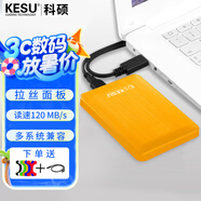 科碩（KESU） 移動硬盤大容量USB3.0 安全加密高速機械外接硬盤 活力黃+硅膠套 500GB -雙盤備份（性價比推薦）