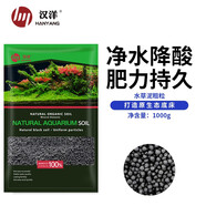 漢洋（ WATERWEEDS INDUSTRY）HANYANG亞馬遜水草泥魚缸底砂水草種子造景裝飾套餐水藻泥免洗1L