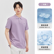 七匹狼（septwolves）長(zhǎng)袖POLO衫男士棉商務(wù)休閑翻領(lǐng)男裝色長(zhǎng)袖T恤上衣 504(淺紫)1D1E30606666 2XL 18096A