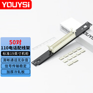 YOUYSI六類24口網(wǎng)絡(luò)配線架 超五類配線架電話語音配線架理線架模塊式千兆水平數(shù)據(jù)管理器 過測試 50對110語音配線架