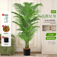 寧雪兒仿真發(fā)財樹盆栽室內(nèi)仿真花假花客廳落地裝飾綠植假樹樹塑料樹植物 26葉仿真散尾葵-2.15m 含配草