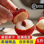 顏曼箐增城仙進(jìn)奉荔枝【順豐/JD-送貨上門】新鮮水果小核荔枝禮盒裝 凈重3斤A+級精品果