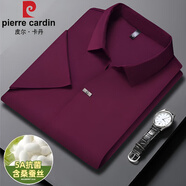 皮爾卡丹（pierre cardin）桑蠶絲短袖T恤polo衫男2025夏季薄款商務(wù)休閑純色免燙無痕T恤衫男 紫紅 父親節(jié)禮物 XL 175