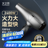 火之鳳吹風(fēng)機(jī)6600H 發(fā)廊專用大功率2400W大風(fēng)力低噪音家用恒溫護(hù)發(fā)不傷發(fā) 理發(fā)店專業(yè)電吹風(fēng)筒 6600H鈦金灰 （兩檔風(fēng)）