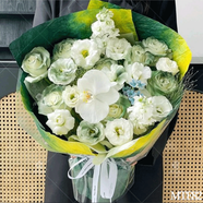 花旺鮮花速遞花禮蘇格蘭綠玫瑰生日送女友老婆禮物花表白花束同城配送 【與愛同行】蝴蝶蘭+8支蘇格蘭綠玫瑰|MTE82
