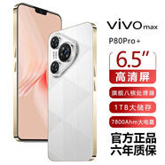 vivomax新品1TB大內存7800mAh快充長(cháng)續航驍龍8電競學(xué)生全新原裝正品手機 雪欲白 16G運行+1TB（1024G）內存 官方標配
