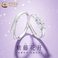 中國黃金（CHINA GOLD）冰川足銀情侶戒指男女款一對戒結婚情人節實(shí)用生日禮物送女友老婆 足銀*紫藤花情侶對戒【中金禮盒】 開(kāi)口可調節