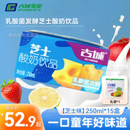 古城酸奶乳酸菌發(fā)酵酸奶250ml古城酸牛奶山西特產(chǎn)乳制營養(yǎng)飲品禮袋 250ml*15盒+禮袋[芝士味]
