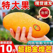 田良季廣西金煌芒果特大芒大青玉水仙新鮮芒果凱特生鮮水果送禮品物盒 凈重3斤裝【嘗鮮】 甄選特級果【單果250-300g】