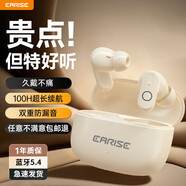 EARISE【2025新款丨旗艦頂配】藍(lán)牙耳機(jī)真無線半入耳式短柄音樂運(yùn)動(dòng)游戲低延遲高音質(zhì)安卓通用FD190膚