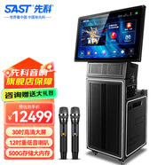 先科ST-2121專業(yè)戶外演出音響線陣音箱舞臺婚慶大功率帶屏幕功放一體廣場舞音響帶顯示屏家庭ktv音響 12時喇叭三分頻+30時大屏500G內(nèi)存+企采優(yōu)選
