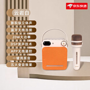 漫步者PP203藍(lán)牙音響話筒一體麥克風(fēng)家用音箱唱k歌無線ktv 云巖白 標(biāo)配