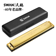 天鵝SWAN 24孔復(fù)音演奏口琴C調(diào)（音位標(biāo)注）金色