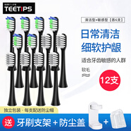 適配韓國JOYJULY久妮電動牙刷頭D1/D2/CK808/809/609替換 6支 清潔型黑色+敏感型黑色