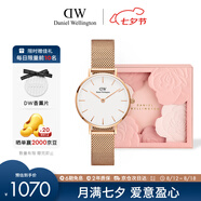 丹尼爾惠靈頓（DanielWellington）DW手表女 簡(jiǎn)約歐美表鋼帶石英女士手表七夕禮物送女友DW00100219