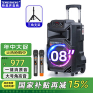 TEMEISHENG 特美聲SL12-31廣場舞音響戶外低音炮大音量家用k歌唱歌便攜式藍牙移動戶外音響大功率藍牙音箱 8寸標配+2支無線話筒+支架