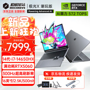 機械革命（MECHREVO）極光X 2025旗艦5060游戲本Pro版14代酷睿i7HX學(xué)生電競設(shè)計筆記本電腦 潮i7-14650HX/5060/灰 32G-2T