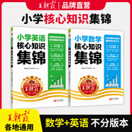 【現(xiàn)貨速發(fā)】王朝霞小學核心知識集錦語文數(shù)學英語基礎知識大盤點一二三四五六年級小學知識大全考試總復習小升初銜接工具書 數(shù)學+英語-2本