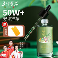 五個(gè)葉子U李時(shí)珍研究所 艾草精油100ml 按摩精油推拿刮痧油拔罐艾葉提取