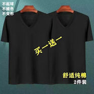 儷韻小屋（LiYunHouSe）兩件裝新疆V領(lǐng)短袖T恤雞心領(lǐng)夏季男女內(nèi)搭透氣打底衫 黑+黑2件裝V領(lǐng) 3XL 建議145-160斤