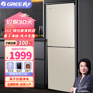 格力（GREE） 晶弘226升家用電冰箱小型快速制冷節能底噪音辦公室出租房BCD-226WECL/現代金