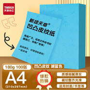天章 （TANGO）A4封面紙 雙面凹凸皮紋紙 云彩紙 標(biāo)書封面紙壓紋紙厚硬卡紙臺(tái)卡打印紙手工卡紙 湖藍(lán)色180g100張
