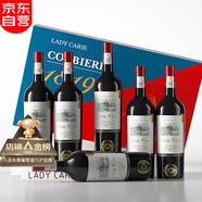 拉蒙塔尼【品牌金獎】法國進口紅酒15度干紅葡萄酒整箱原酒進口 750ML*6