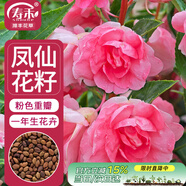 壽禾 鳳仙花種子種苗指甲花花卉種籽 濰豐重瓣粉色鳳仙花種子140粒