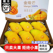 捌零鮮生物語(yǔ)（順豐JD）正宗金煌芒果新鮮水果 特大果芒果 青皮芒果水果禮盒 9斤特大果禮盒裝（甄選）