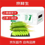 京鮮生家美舒達(dá) 山東 濰坊蘿卜 甜脆水果蘿卜 綠青蘿卜 5斤 新鮮蔬菜