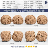 OIDSG老鳳凰999文玩核桃一物一圖精品大粗筋蛤蟆頭南瓜墩四座樓南疆石 A73992 全品無(wú)修南疆石獅子頭45