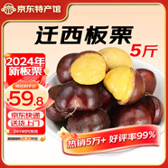 遷西鮮板栗 2024年新生板栗大顆粒 栗新鮮栗子甜栗子鮮板栗生栗子 老樹板栗 凈重 5斤 大果