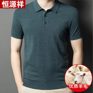 恒源祥精紡羊毛絨衫男士翻領(lǐng)衛衣2025春秋新款長(cháng)袖男t恤針織毛衣打底衫 豆綠 【新品羊毛短袖】 4XL 190【建議體重185-200斤】