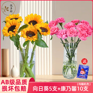 悅多彩優(yōu)質(zhì)水養(yǎng)鮮切花 母親節(jié)三八節(jié)花束 昆明基地現(xiàn)采直發(fā)順豐生活鮮花 向日葵5支+康乃馨10支