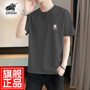 THE URBAN NICE官方品牌純棉t恤男2025春夏款短袖刺繡上衣商務(wù)休閑重磅男士短袖 雅致灰 4XL 碼【建議170-185】-T恤