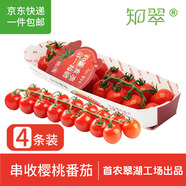 京鮮生＆知翠 精品串收櫻桃番茄198g*4盒 自然熟水果小西紅柿 源頭直發(fā)