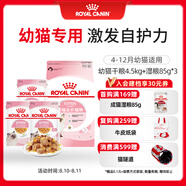皇家貓糧?幼貓貓糧?干濕搭配?K36 4.5kg+啫喱肉凍KJP 85G*3