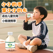 黎水小黎水小瓶礦泉水迷你便攜裝飲用天然泉水整箱 【優(yōu)質(zhì)水源 送貨上門(mén)】238ml12瓶