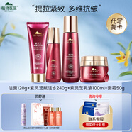 植物醫(yī)生（Dr.Plant）官方旗艦紫靈芝水乳護(hù)膚品套裝禮盒抗皺緊致淡紋七夕情人節(jié)禮物 四件套：潔面+水+乳+面霜