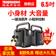 特美聲（TEMEISHENG） SL06-26廣場(chǎng)舞戶(hù)外便攜音響家用移動(dòng)K歌手提藍牙低音小型音箱 6.5寸標配+2支無(wú)線(xiàn)話(huà)筒+大禮包 (贈送好禮)