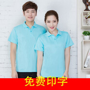 梵梧金凰 新款速干T恤班服定制翻領(lǐng)短袖t恤訂制團(tuán)隊(duì)旅游工作服裝diy文化衫廣告衫廠服工作服 淺藍(lán)色 XXXL