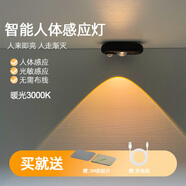 芃彩人工智能感應燈頭開(kāi)關(guān)控制燈led氛圍燈創(chuàng  )意家用聲控感應usb小夜燈 黑色外殼人體感應燈【暖光】