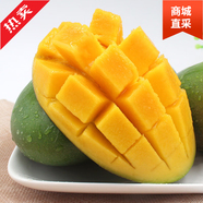 果鄉(xiāng)趣中秋送禮正宗攀枝花凱特大芒果10斤新鮮水果當(dāng)季整箱現(xiàn)摘青皮大 [實(shí)惠裝]中大果超值裝 9斤