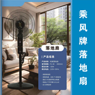 乘風(fēng)16寸純銅線落地扇大風(fēng)量4檔定時(shí)搖頭電扇
