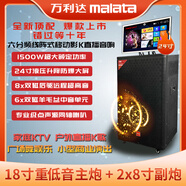 MALATA驚天霹靂W29大功率語(yǔ)音k歌直播一體機(jī)戶(hù)外廣場(chǎng)舞音響18寸重低音 W29-A
